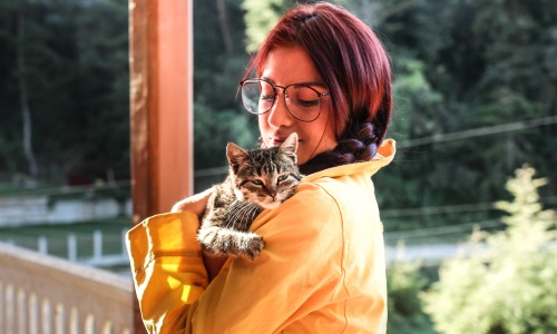 Local Pet Shops Cover Image